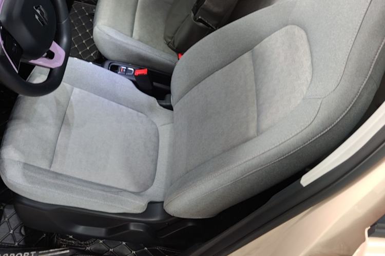 Used Leapmotor T03 2022 Amber Edition Left Front Seat