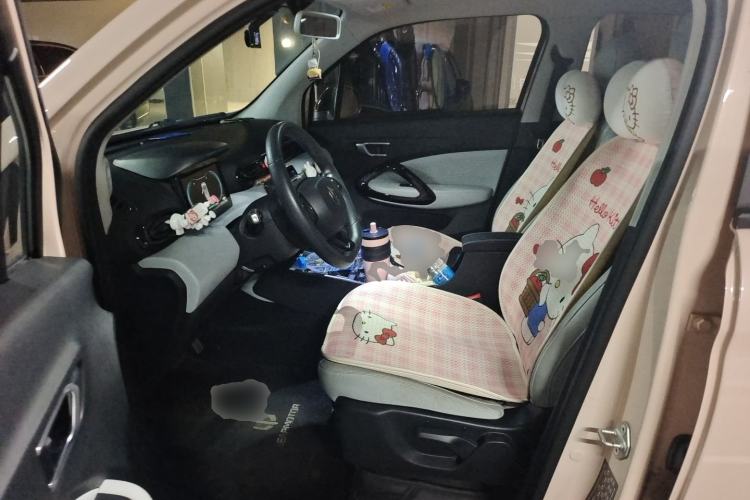 Used Leapmotor T03 2022 Crystal Edition Left Front Seat