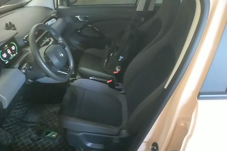 Used Leapmotor T03 2022 Special Edition Left Front Seat