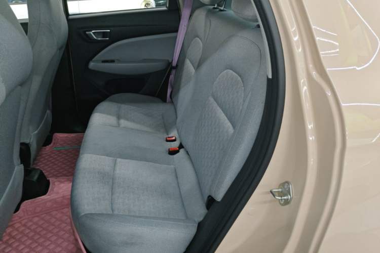 Used Leapmotor T03 2022 Amber Edition Left Rear Seat