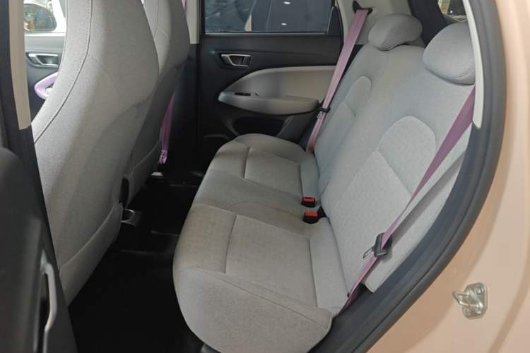 Used Leapmotor T03 2022 Pearl Edition Left Rear Seat
