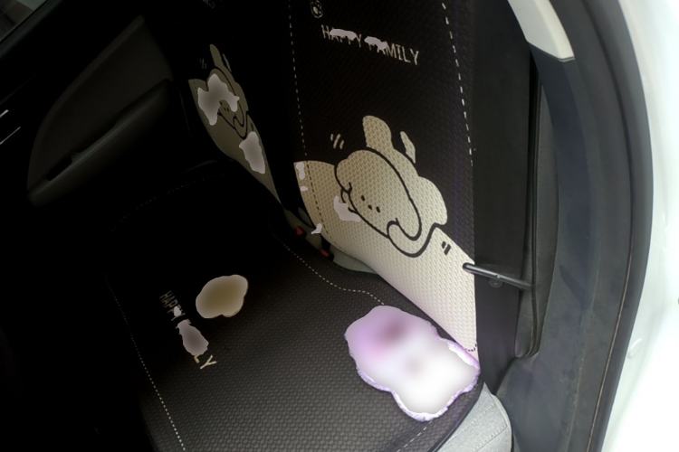 Used Leapmotor T03 2022 Hometown Jade Edition Left Rear Seat