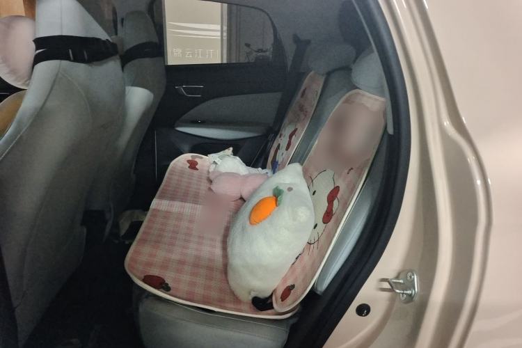 Used Leapmotor T03 2022 Crystal Edition Left Rear Seat
