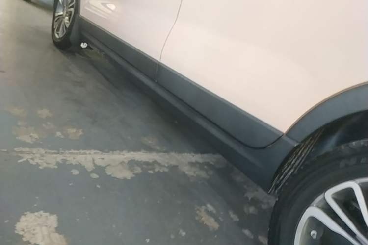 Used Leapmotor T03 2022 Special Edition Left Side Sill