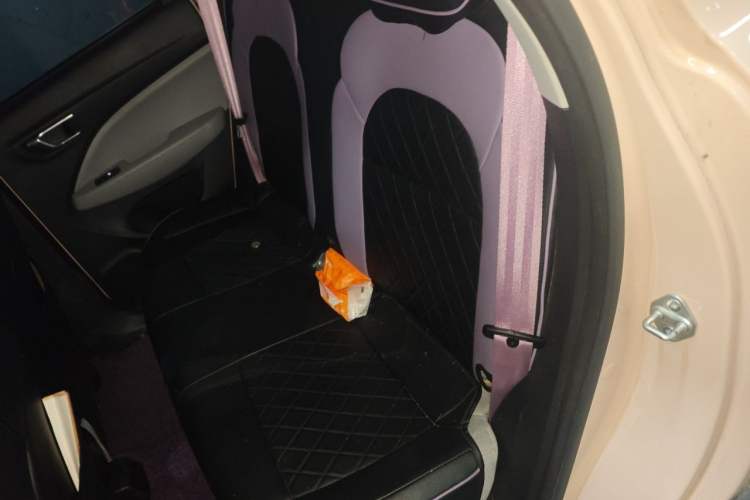 Used Leapmotor T03 2022 Amber Edition Left Rear Seat