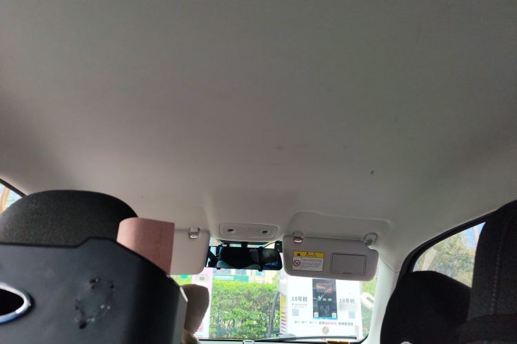 Used Leapmotor T03 2022 Special Edition Headliner
