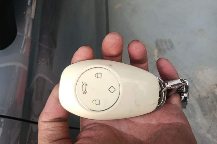 Used Leapmotor T03 2022 Crystal Edition Vehicle Key