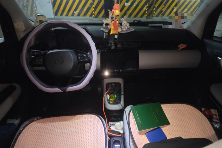 Used Leapmotor T03 2022 Crystal Edition Center Console