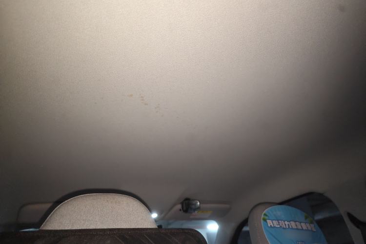 Used Leapmotor T03 2022 Crystal Edition Headliner