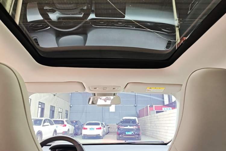 Used Leapmotor T03 2022 Star Diamond Edition Headliner