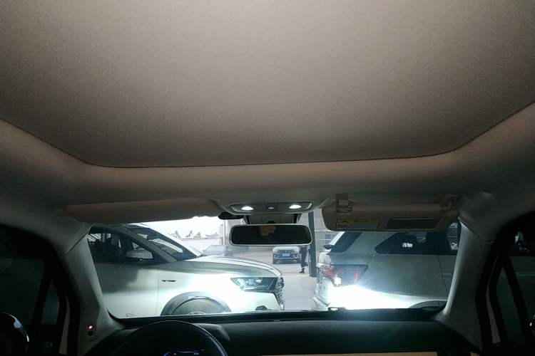 Used Leapmotor T03 2022 Star Diamond Edition Headliner