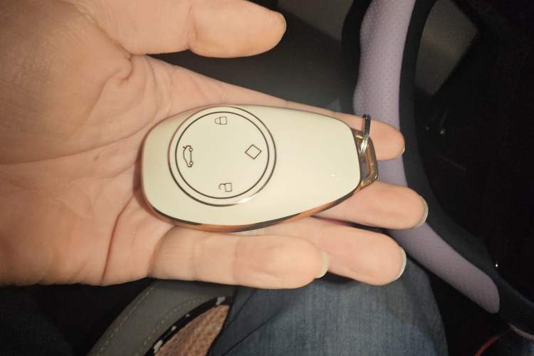 Used Leapmotor T03 2022 Crystal Edition Vehicle Key
