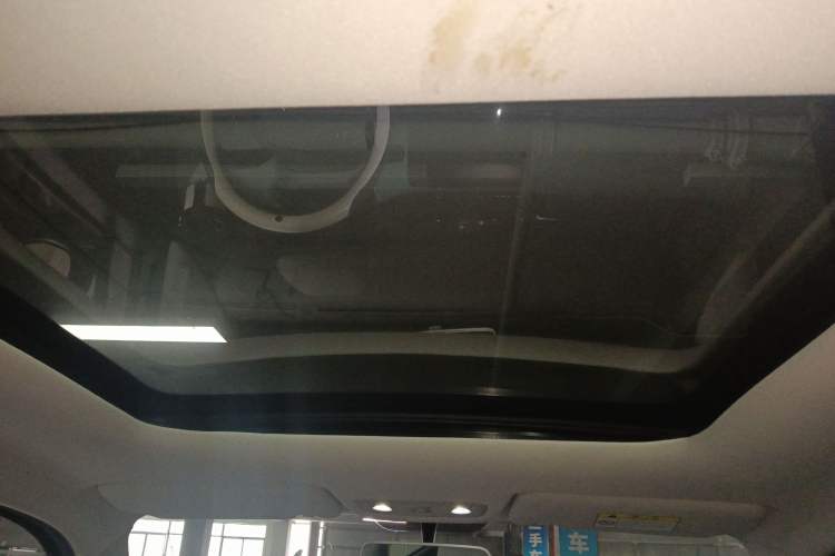Used Leapmotor T03 2022 YAOJIN Edition Headliner