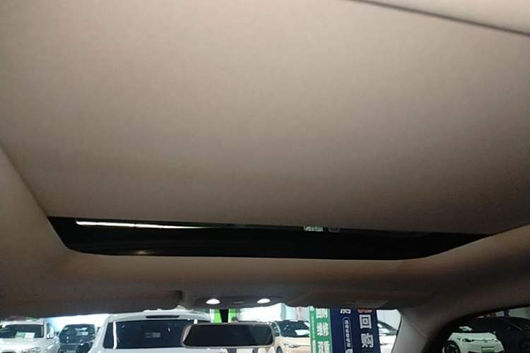 Used Leapmotor T03 2022 YAOJIN Edition Headliner