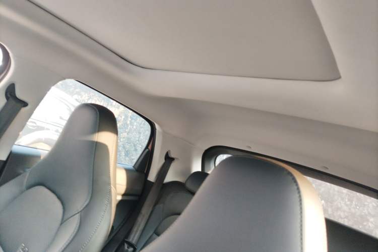 Used Leapmotor T03 2022 YAOJIN Edition Headliner