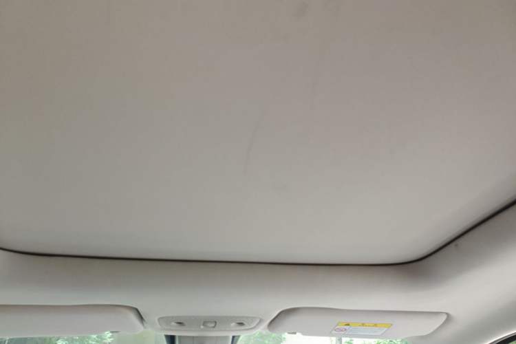 Used Leapmotor T03 2022 Star Diamond Edition Headliner