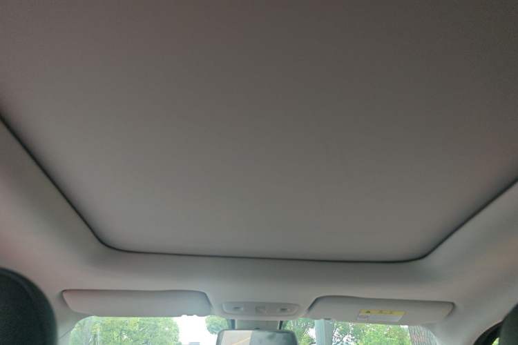 Used Leapmotor T03 2022 Star Diamond Edition Headliner