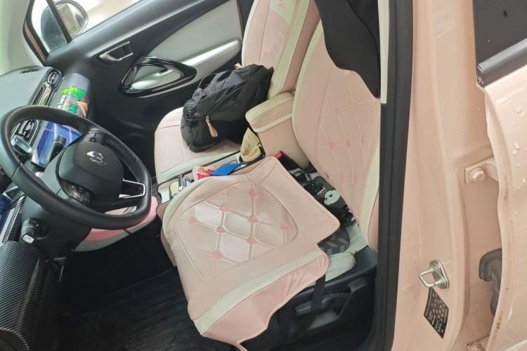 Used Leapmotor T03 2022 Star Diamond Edition Left Front Seat