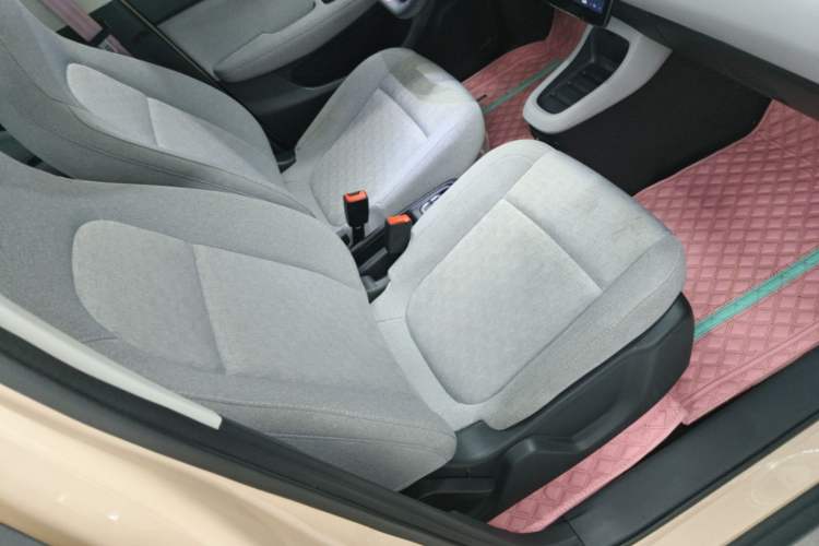 Used Leapmotor T03 2022 Amber Edition Right Front Seat