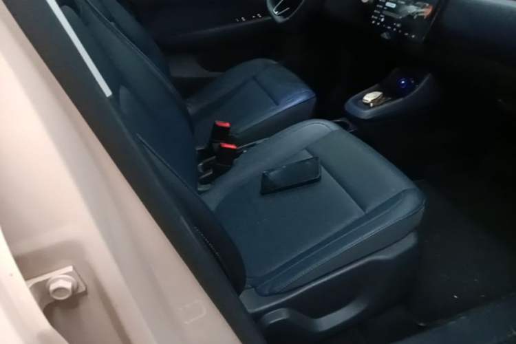 Used Leapmotor T03 2022 Star Diamond Edition Right Front Seat
