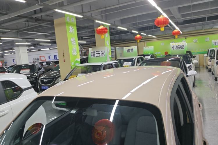 Used Leapmotor T03 2022 Amber Edition Roof