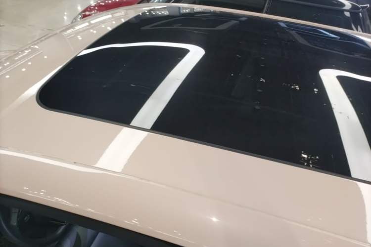 Used Leapmotor T03 2022 YAOJIN Edition Roof
