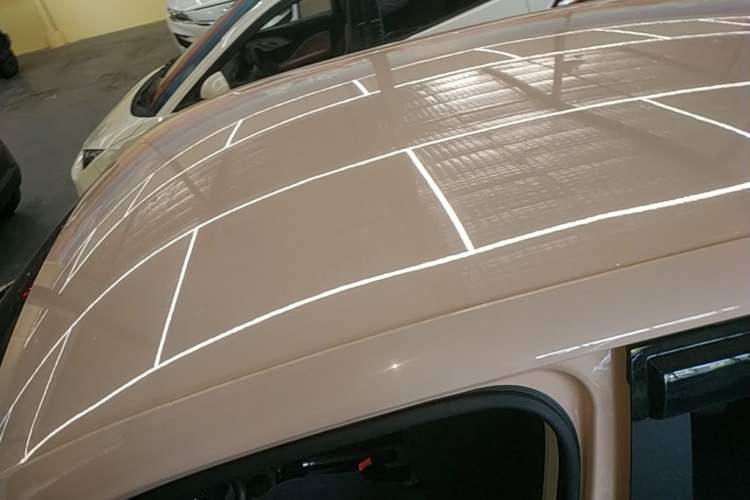 Used Leapmotor T03 2022 Special Edition Roof