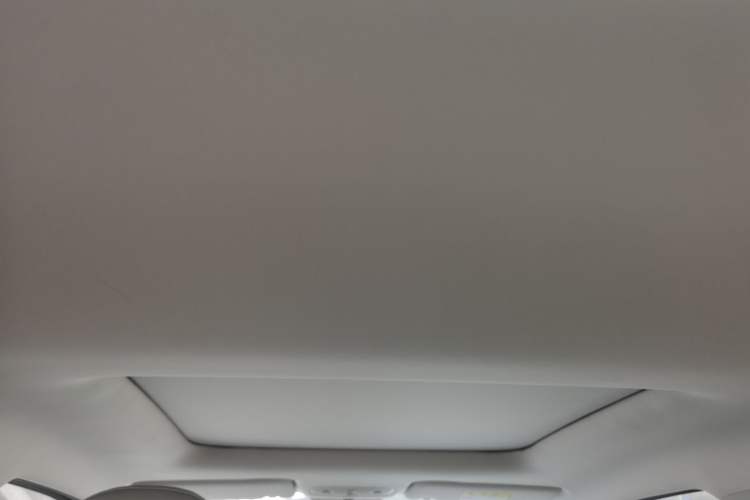 Used Leapmotor T03 2022 YAOJIN Edition Headliner