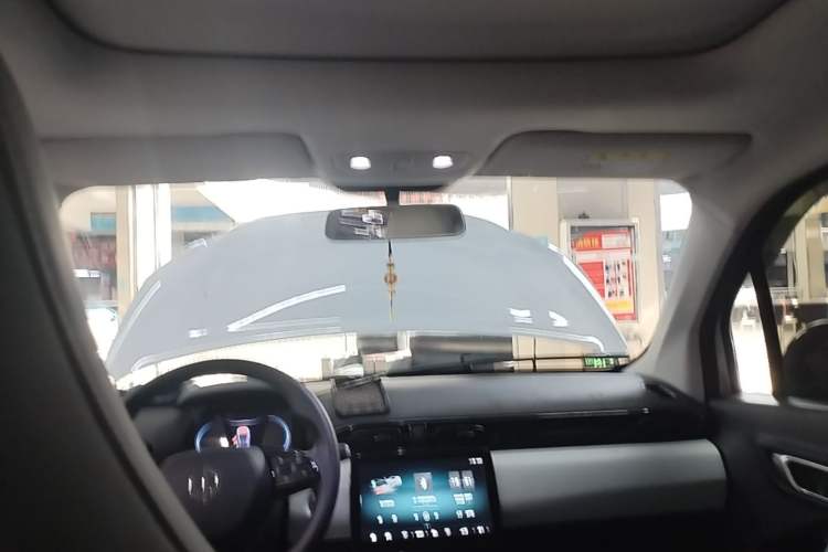 Used Leapmotor T03 2022 YAOJIN Edition Headliner