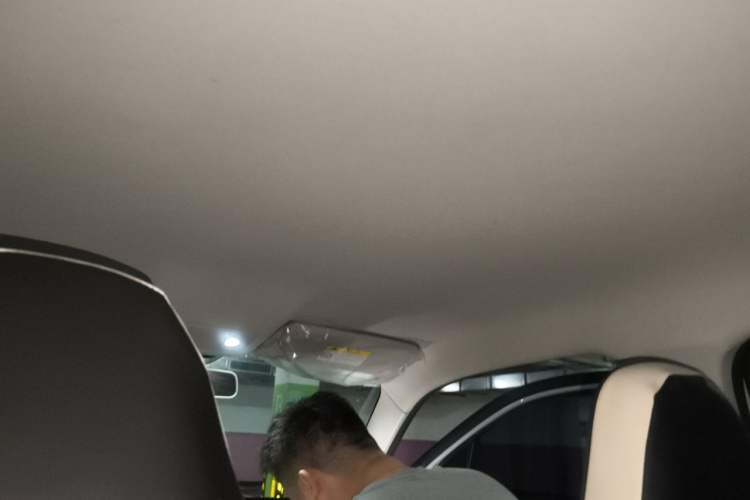 Used Leapmotor T03 2022 YAOJIN Edition Headliner