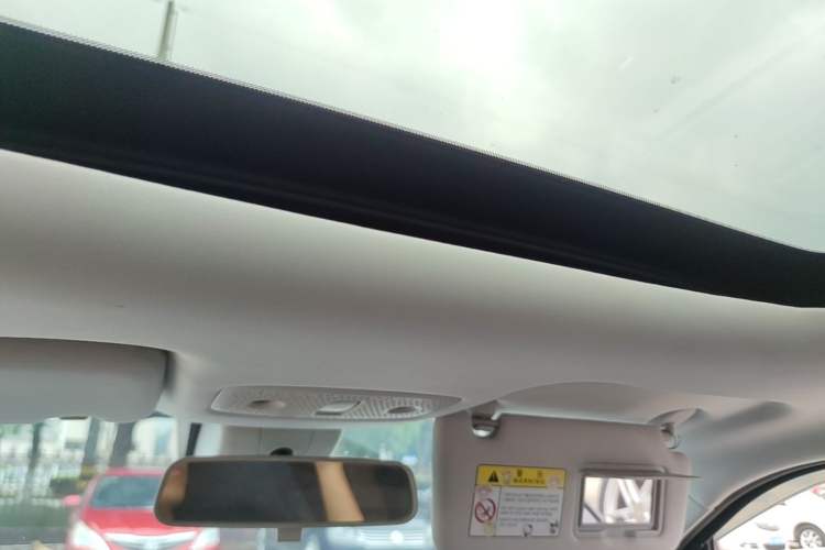 Used Leapmotor T03 2022 Star Diamond Edition Headliner