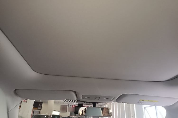 Used Leapmotor T03 2022 YAOJIN Edition Headliner