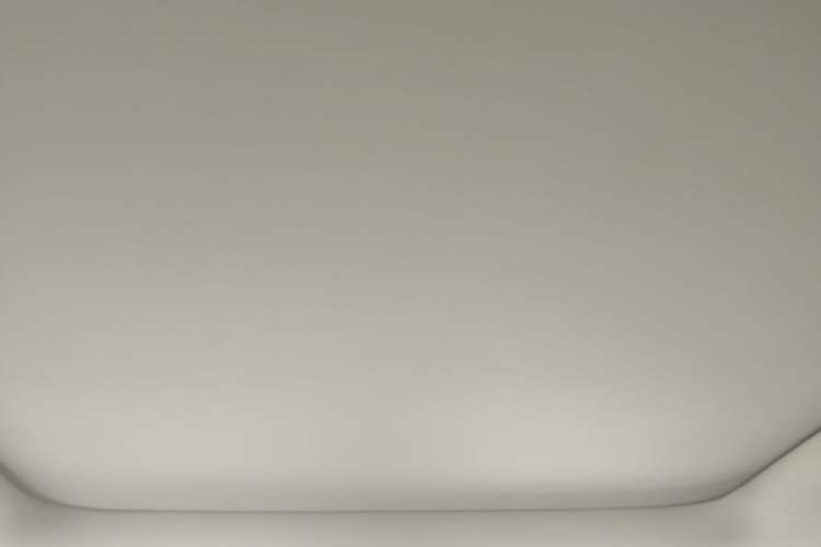 Used Leapmotor T03 2022 Star Diamond Edition Headliner