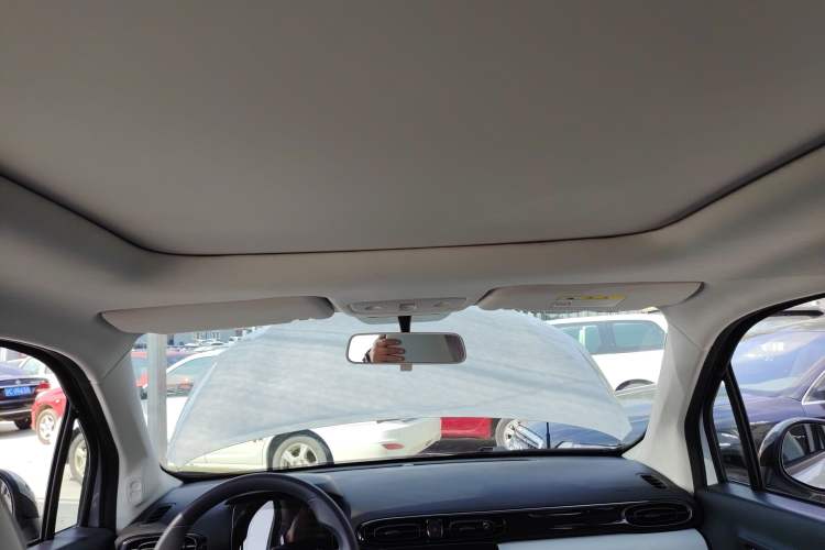 Used Leapmotor T03 2022 YAOJIN Edition Headliner