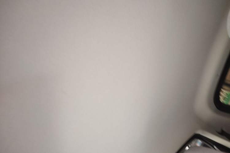 Used Leapmotor T03 2022 Crystal Edition Headliner