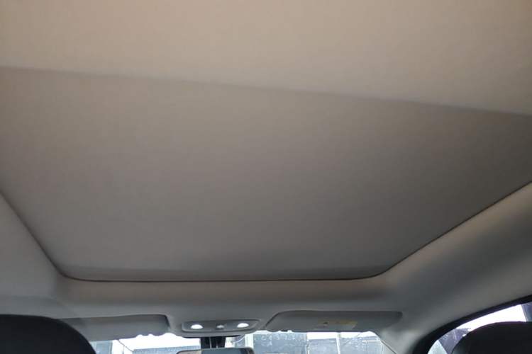 Used Leapmotor T03 2022 YAOJIN Edition Headliner
