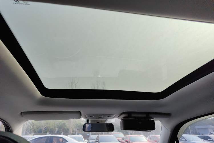 Used Leapmotor T03 2022 Crystal Edition Headliner