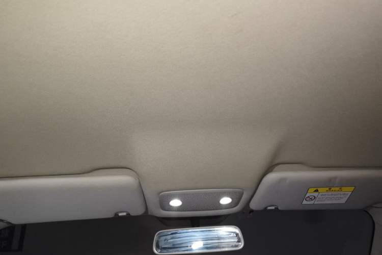Used Leapmotor T03 2022 Crystal Edition Headliner