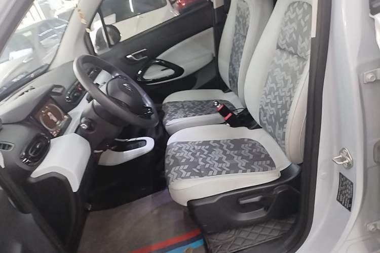 Used Leapmotor T03 2022 YAOJIN Edition Left Front Seat