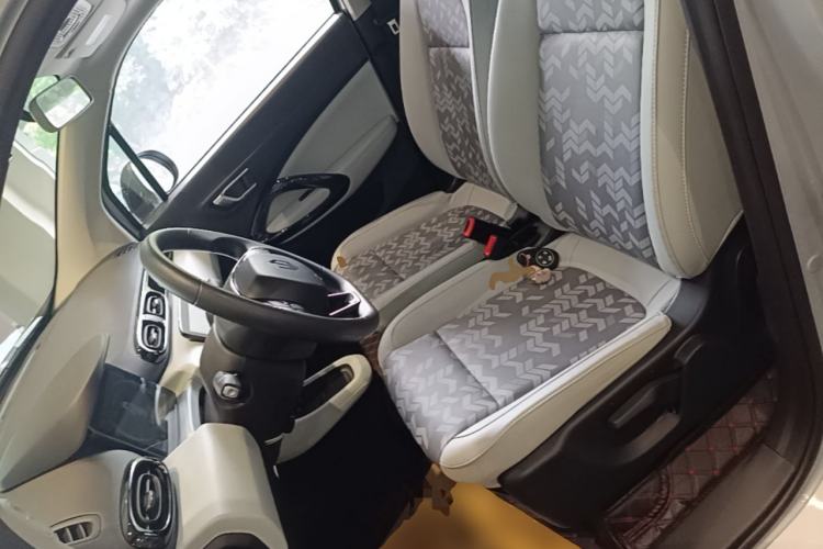 Used Leapmotor T03 2022 YAOJIN Edition Left Front Seat