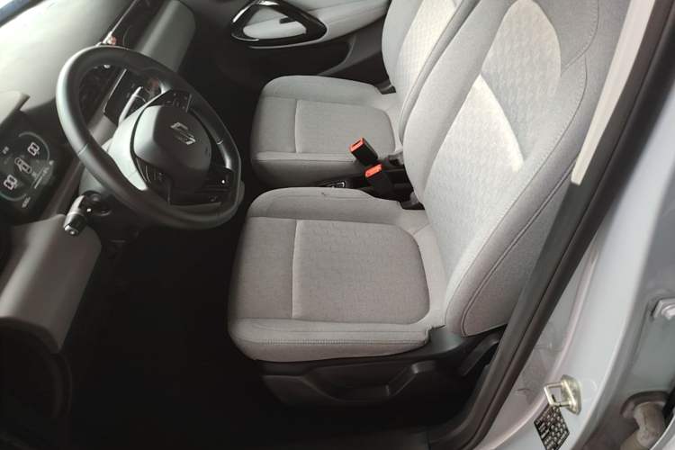 Used Leapmotor T03 2022 Crystal Edition Left Front Seat