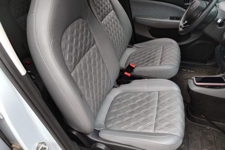 Used Leapmotor T03 2022 Star Diamond Edition Right Front Seat