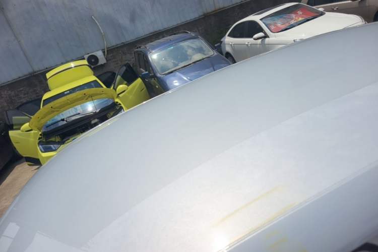 Used Leapmotor T03 2022 Pearl Edition Roof