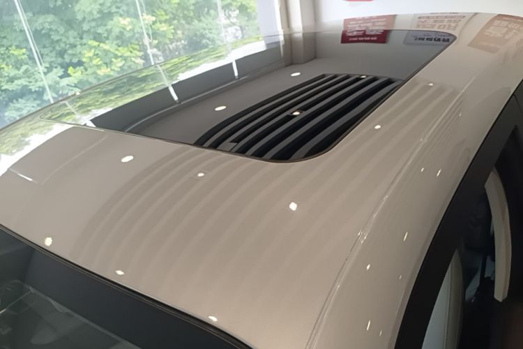 Used Leapmotor T03 2022 YAOJIN Edition Roof