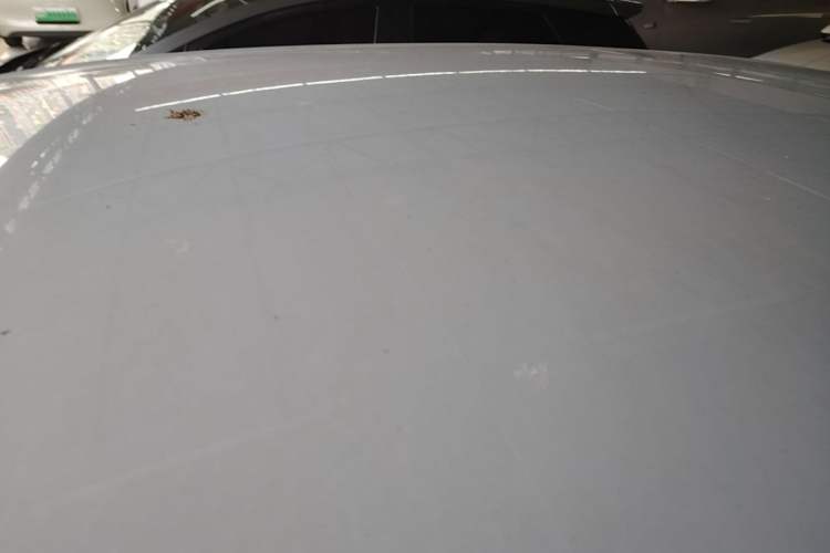 Used Leapmotor T03 2022 Crystal Edition Roof