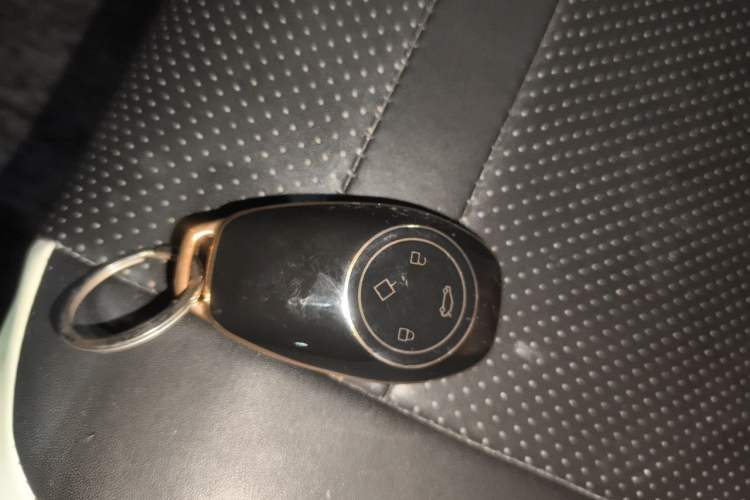 Used Leapmotor T03 2022 YAOJIN Edition Vehicle Key