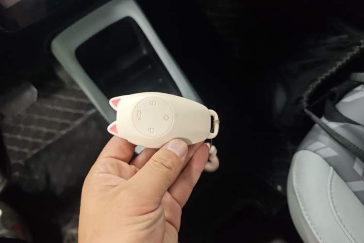 Used Leapmotor T03 2022 Star Diamond Edition Vehicle Key