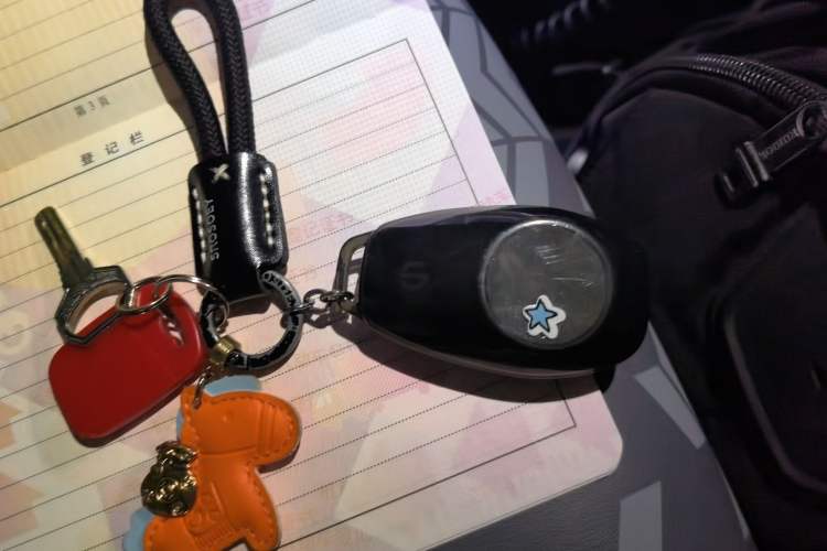 Used Leapmotor T03 2022 YAOJIN Edition Vehicle Key