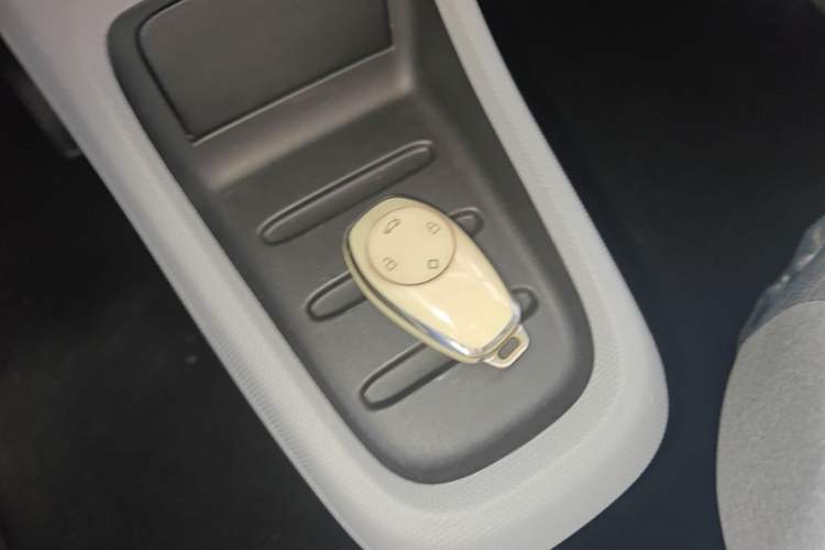 Used Leapmotor T03 2022 Pearl Edition Vehicle Key