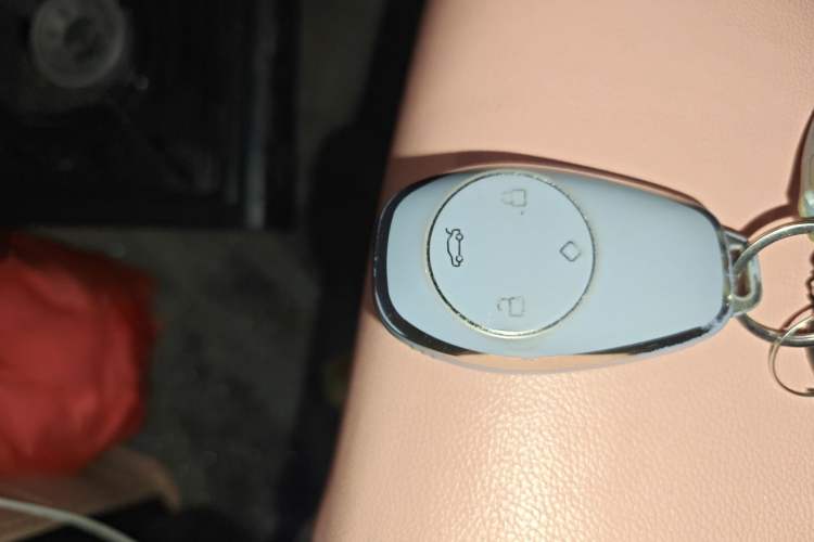 Used Leapmotor T03 2022 Special Edition Vehicle Key
